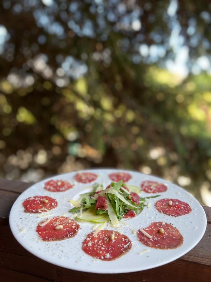布拉兹尼野生动物度假酒店 科尼札 外观 照片